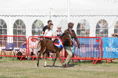 Royal Manx Agricultural Show Saturday 13th August 2022. Photo by Callum Staley (CJS Photography)