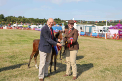 Royal Manx Agricultural Show Saturday 13th August 2022. Photo by Callum Staley (CJS Photography)