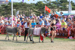 Royal Manx Agricultural Show Saturday 13th August 2022. Photo by Callum Staley (CJS Photography)