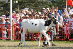 Royal Manx Agricultural Show Saturday 13th August 2022. Photo by Callum Staley (CJS Photography)