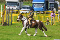 IMG_1194