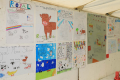 Royal Manx Agricultural Show 2024. Photo by Callum Staley (CJS Photography)