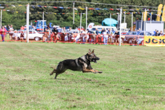 Royal Manx Agricultural Show 2024. Photo by Callum Staley (CJS Photography)