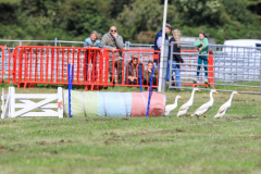 Royal Manx Agricultural Show 2024. Photo by Callum Staley (CJS Photography)