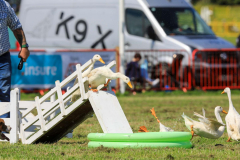 Royal Manx Agricultural Show 2024. Photo by Callum Staley (CJS Photography)