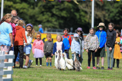 Royal Manx Agricultural Show 2024. Photo by Callum Staley (CJS Photography)