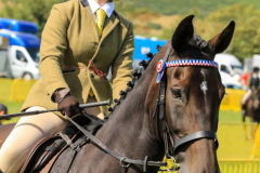 Royal Manx Agricultural Show 2024. Photo by Callum Staley (CJS Photography)