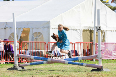Royal Manx Agricultural Show 2024. Photo by Callum Staley (CJS Photography)