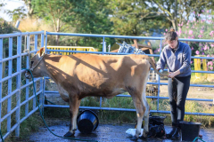 Royal Manx Agricultural Show 2024. Photo by Callum Staley (CJS Photography)