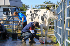 Royal Manx Agricultural Show 2024. Photo by Callum Staley (CJS Photography)