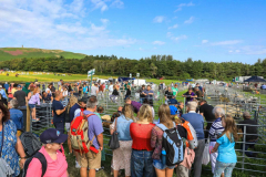 Royal Manx Agricultural Show 2024. Photo by Callum Staley (CJS Photography)