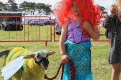 Royal Manx Agricultural Show 2024. Photo by Callum Staley (CJS Photography)