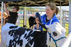 Royal Manx Agricultural Show 2024. Photo by Callum Staley (CJS Photography)