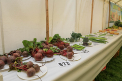 Royal Manx Agricultural Show 2024. Photo by Callum Staley (CJS Photography)
