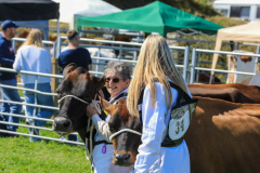 Royal Manx Agricultural Show 2024. Photo by Callum Staley (CJS Photography)