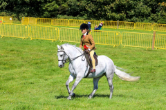 Royal Manx Agricultural Show 2024. Photo by Callum Staley (CJS Photography)