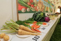 Royal Manx Agricultural Show 2024. Photo by Callum Staley (CJS Photography)