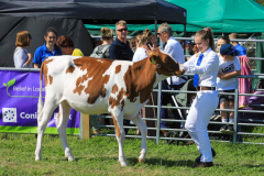 Royal Manx Agricultural Show 2024. Photo by Callum Staley (CJS Photography)