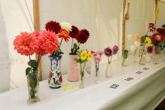 Royal Manx Agricultural Show 2024. Photo by Callum Staley (CJS Photography)