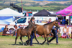 Royal Manx Agricultural Show 2024. Photo by Callum Staley (CJS Photography)