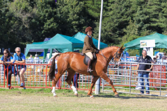 Royal Manx Agricultural Show 2024. Photo by Callum Staley (CJS Photography)