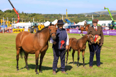 Royal Manx Agricultural Show 2024. Photo by Callum Staley (CJS Photography)