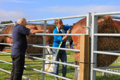 Royal Manx Agricultural Show 2024. Photo by Callum Staley (CJS Photography)