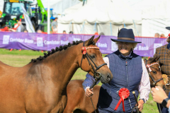 Royal Manx Agricultural Show 2024. Photo by Callum Staley (CJS Photography)