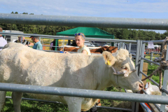 Royal Manx Agricultural Show 2024. Photo by Callum Staley (CJS Photography)