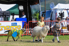 Royal Manx Agricultural Show 2024. Photo by Callum Staley (CJS Photography)