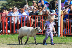 Royal Manx Agricultural Show 2024. Photo by Callum Staley (CJS Photography)