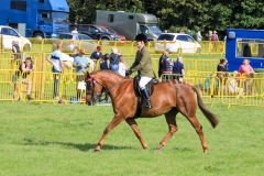 Royal Manx Agricultural Show 2024. Photo by Callum Staley (CJS Photography)