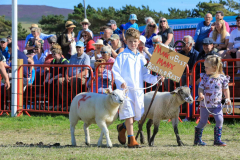 Royal Manx Agricultural Show 2024. Photo by Callum Staley (CJS Photography)
