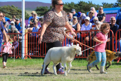 Royal Manx Agricultural Show 2024. Photo by Callum Staley (CJS Photography)