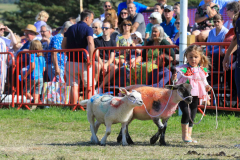 Royal Manx Agricultural Show 2024. Photo by Callum Staley (CJS Photography)