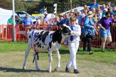Royal Manx Agricultural Show 2024. Photo by Callum Staley (CJS Photography)