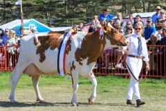 Royal Manx Agricultural Show 2024. Photo by Callum Staley (CJS Photography)