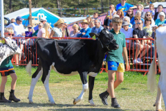 Royal Manx Agricultural Show 2024. Photo by Callum Staley (CJS Photography)