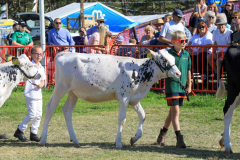 Royal Manx Agricultural Show 2024. Photo by Callum Staley (CJS Photography)
