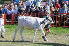 Royal Manx Agricultural Show 2024. Photo by Callum Staley (CJS Photography)