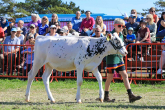 Royal Manx Agricultural Show 2024. Photo by Callum Staley (CJS Photography)
