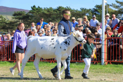Royal Manx Agricultural Show 2024. Photo by Callum Staley (CJS Photography)