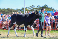 Royal Manx Agricultural Show 2024. Photo by Callum Staley (CJS Photography)