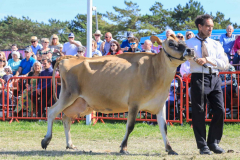 Royal Manx Agricultural Show 2024. Photo by Callum Staley (CJS Photography)