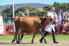 Royal Manx Agricultural Show 2024. Photo by Callum Staley (CJS Photography)