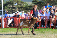 Royal Manx Agricultural Show 2024. Photo by Callum Staley (CJS Photography)