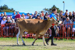 Royal Manx Agricultural Show 2024. Photo by Callum Staley (CJS Photography)