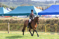 Royal Manx Agricultural Show 2024. Photo by Callum Staley (CJS Photography)