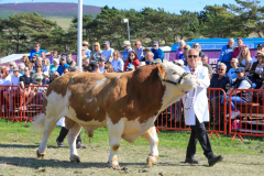 Royal Manx Agricultural Show 2024. Photo by Callum Staley (CJS Photography)