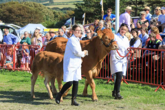 Royal Manx Agricultural Show 2024. Photo by Callum Staley (CJS Photography)